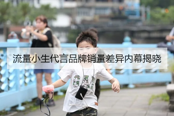 流量小生代言品牌销量差异内幕揭晓