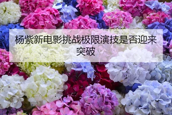 杨紫新电影挑战极限演技是否迎来突破